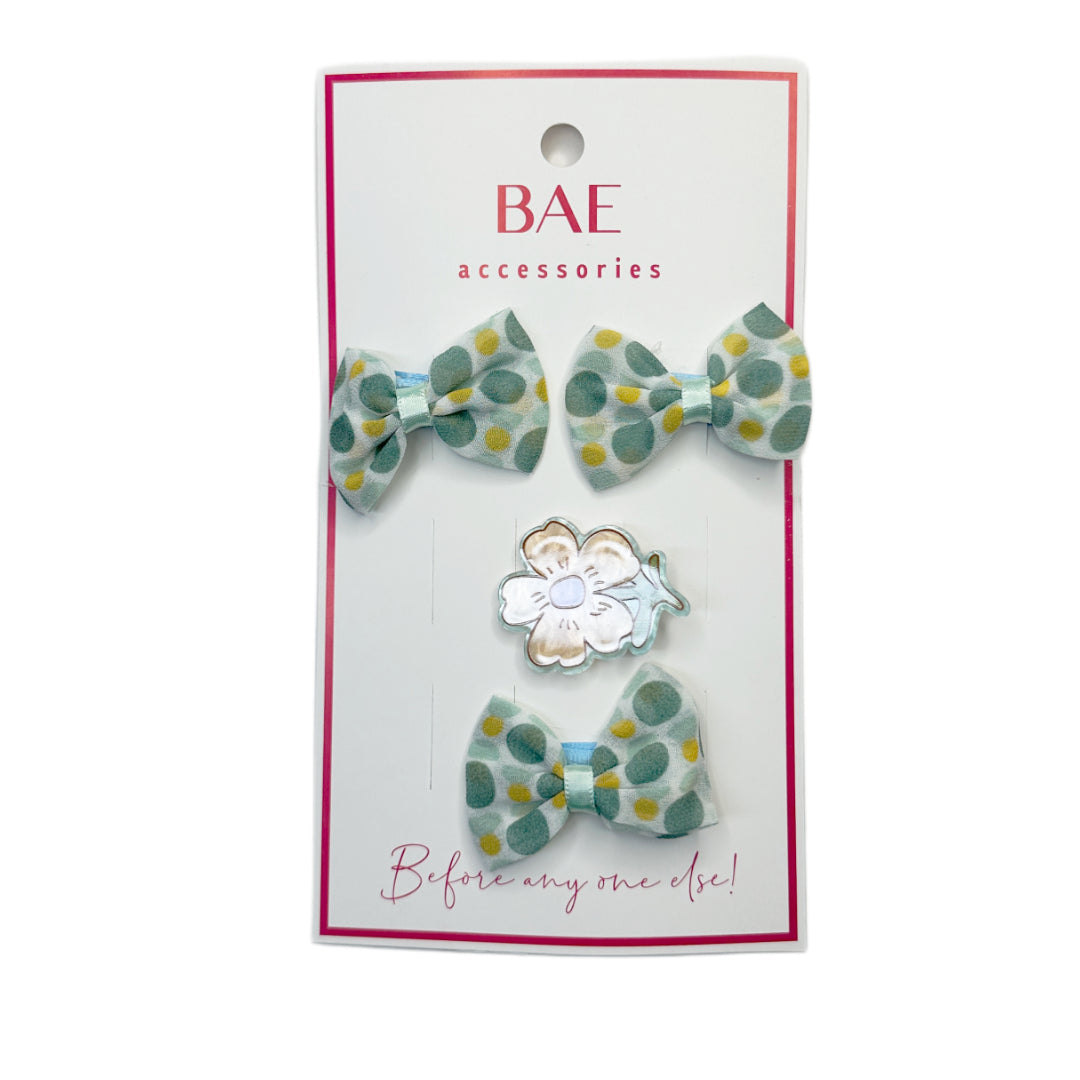 Hair Clips Set