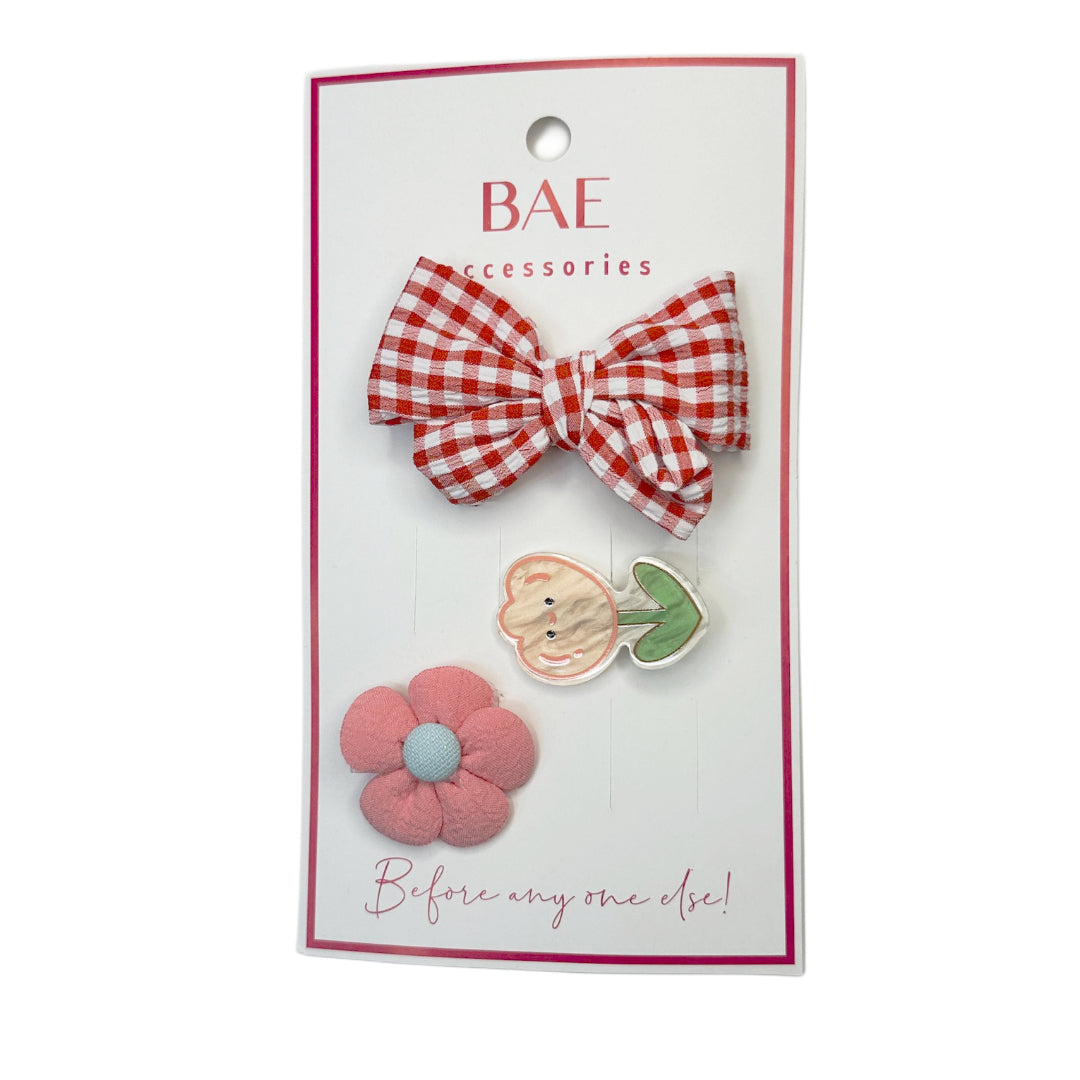 Hair Clips Set